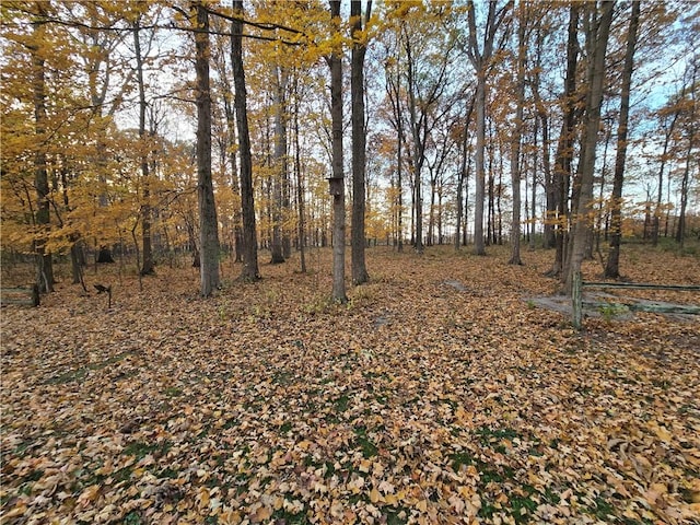 20746 E 400 N, Charleston, IL 61920 - view of yard