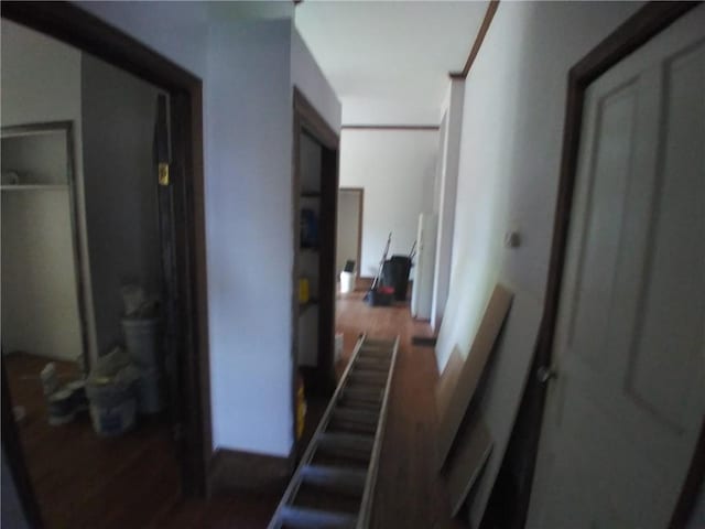 172 Broadway St, Shelbyville, IL 62565 - hall with wood finished floors