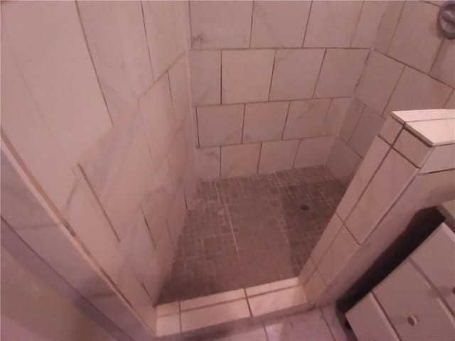 172 Broadway St, Shelbyville, IL 62565 - full bath with tiled shower