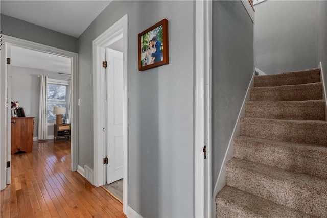 stairs with hardwood / wood-style floors