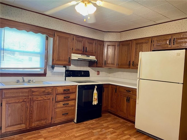 6 S Oakland Rd, Ashmore, IL 61912 - kitchen with freestanding refrigerator, range with electric cooktop, under cabinet range hood, light wood-type flooring, and a sink