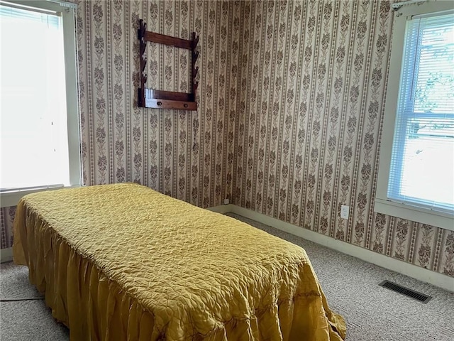 6 S Oakland Rd, Ashmore, IL 61912 - bedroom with wallpapered walls, multiple windows, and light colored carpet