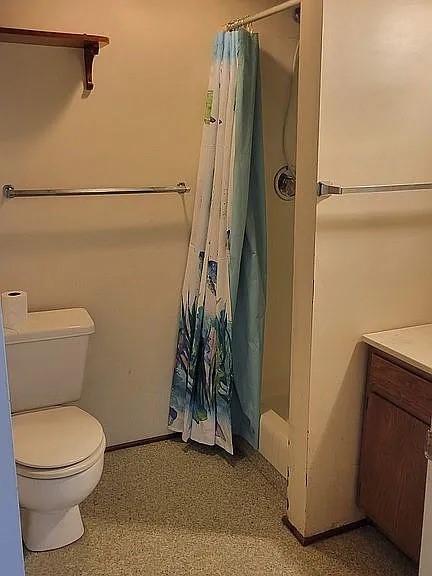 203 N E St, Olney, IL 62450 - bathroom featuring a shower with shower curtain, toilet, and vanity