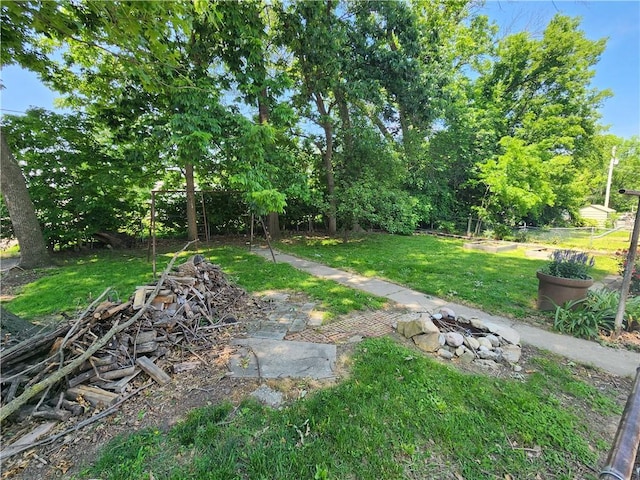 203 N E St, Olney, IL 62450 - view of yard