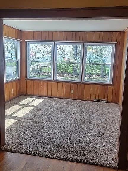203 N E St, Olney, IL 62450 - unfurnished room with wooden walls and carpet floors