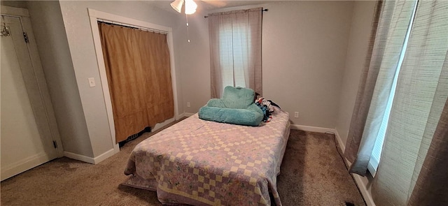 406 S Gray St, Sidell, IL 61876 - bedroom with carpet floors, a closet, and multiple windows