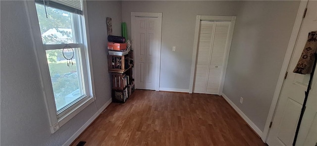 406 S Gray St, Sidell, IL 61876 - interior space with wood finished floors, multiple windows, and two closets