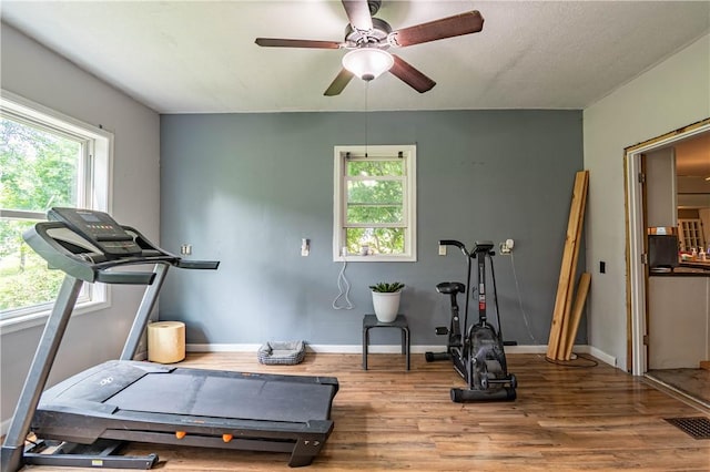 10622 N Rte 121, Latham, IL 62543 - workout room with wood finished floors, plenty of natural light, ceiling fan, and baseboards