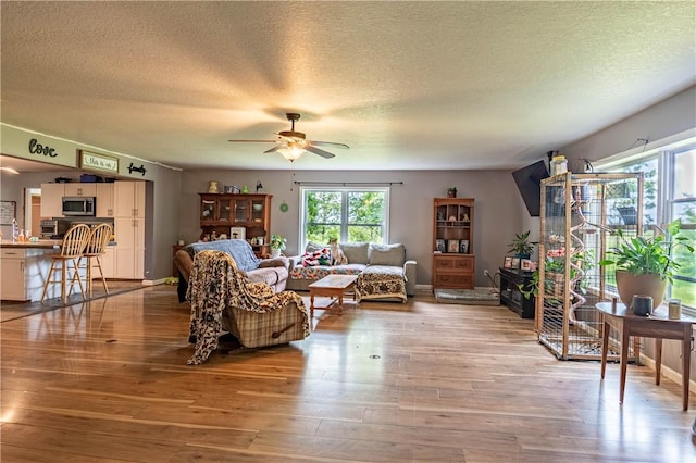 10622 N Rte 121, Latham, IL 62543 - living area with ceiling fan, light wood-style floors, and a textured ceiling