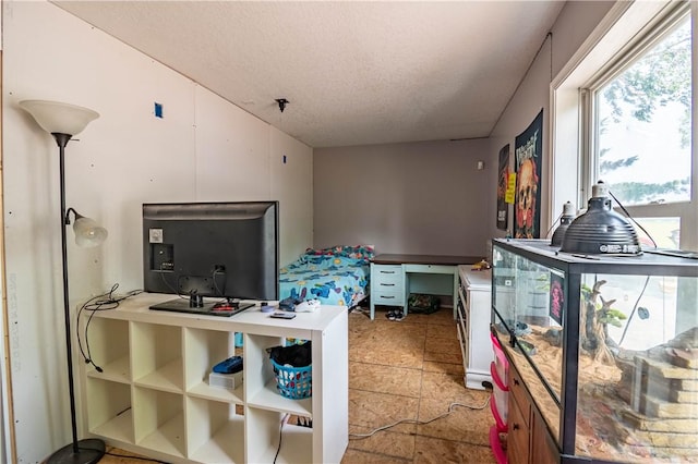10622 N Rte 121, Latham, IL 62543 - office space with a textured ceiling