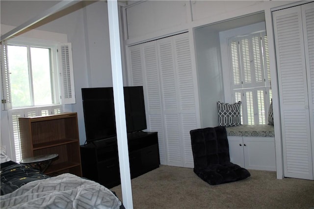 302 W N 3rd St, Shelbyville, IL 62565 - carpeted bedroom with multiple closets