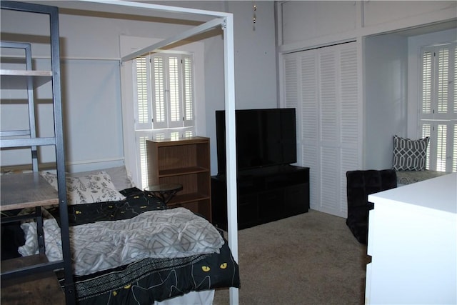 302 W N 3rd St, Shelbyville, IL 62565 - bedroom with carpet flooring and a closet