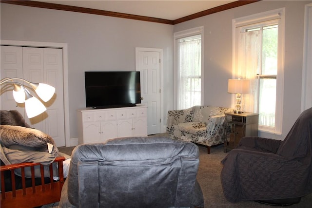 302 W N 3rd St, Shelbyville, IL 62565 - living room with ornamental molding and healthy amount of natural light