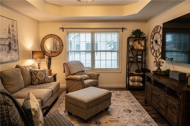 living area featuring dark hardwood / wood-style flooring and a raised ceiling