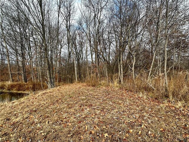 1376 N 1600th St, Dennison, IL 62423 - photo 31