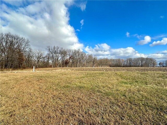 1376 N 1600th St, Dennison, IL 62423 - photo 30