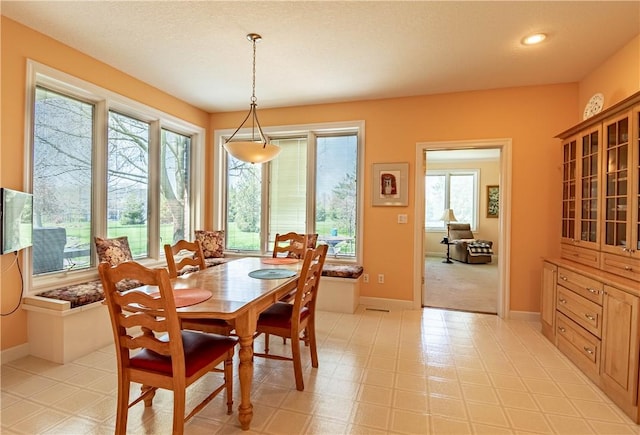 dining space featuring baseboards