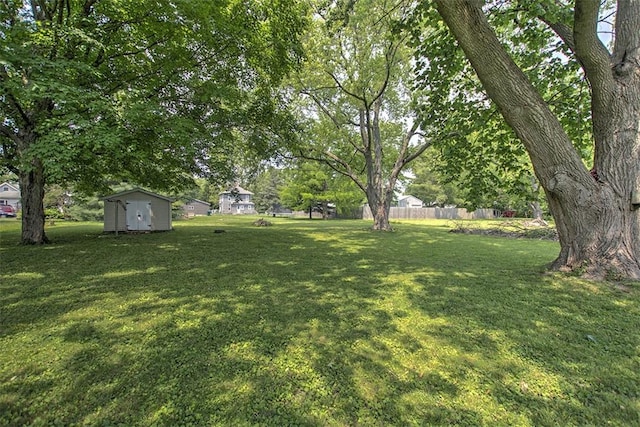 427 S Madison St, Cerro Gordo, IL 61818 - view of yard