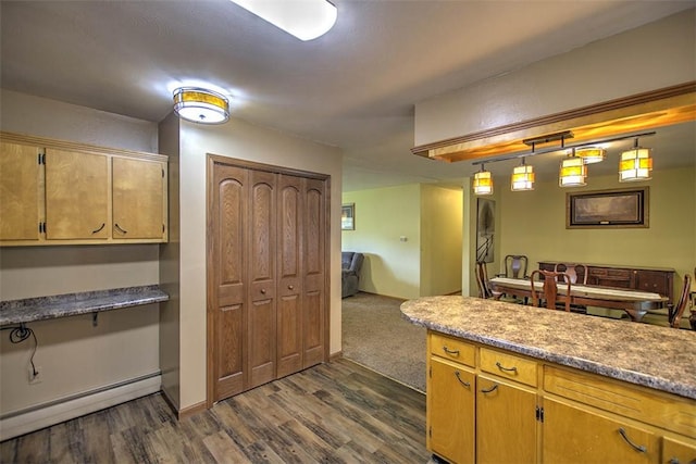 427 S Madison St, Cerro Gordo, IL 61818 - kitchen with baseboard heating, dark wood-style floors, and decorative light fixtures