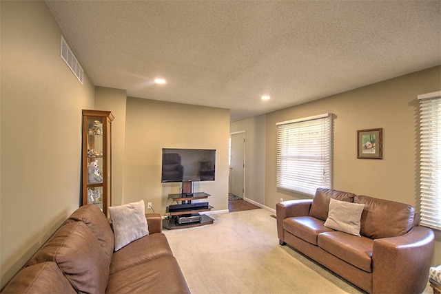 carpeted living room with a textured ceiling