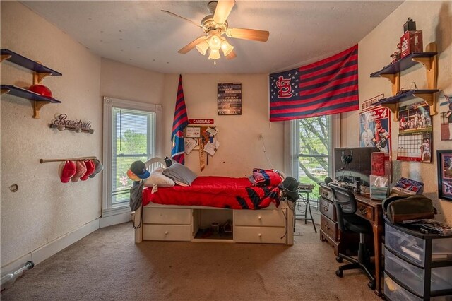 101 W N Water St, Bethany, IL 61914 - bedroom with carpet floors and ceiling fan