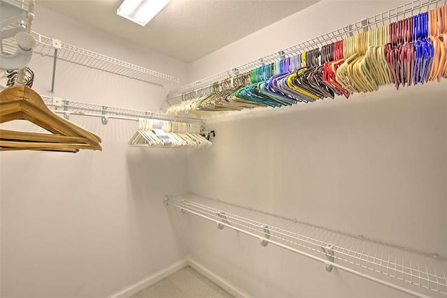 view of walk in closet