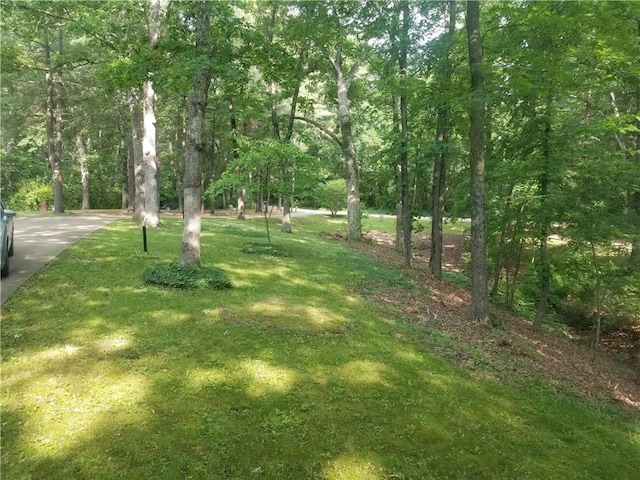 8404 E Twin Oaks Dr, Effingham, IL 62401 - view of green lawn