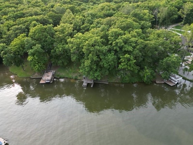 8404 E Twin Oaks Dr, Effingham, IL 62401 - aerial view of a nearby body of water and a forest