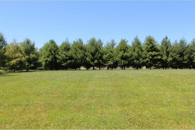 LOT29 Forest View Dr, Charleston IL, 61920 land for sale