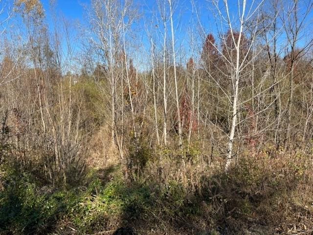 Blohm Ave, Effingham, IL 62401