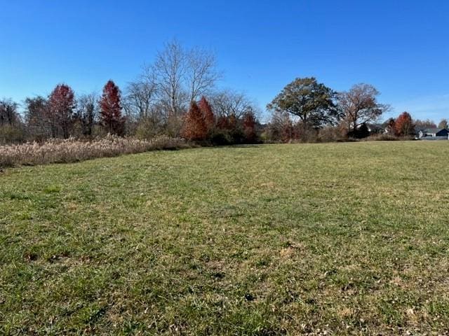 Blohm Ave, Effingham, IL 62401