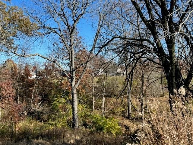 Blohm Ave, Effingham, IL 62401