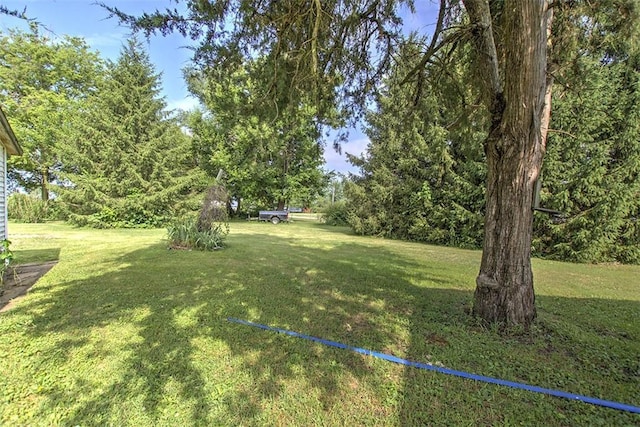 59 Lynn St, Weldon, IL 61882 - view of green lawn