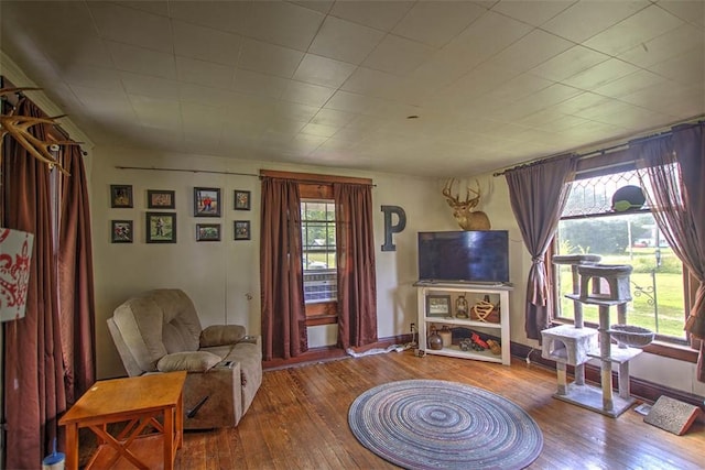 59 Lynn St, Weldon, IL 61882 - living room featuring hardwood / wood-style floors
