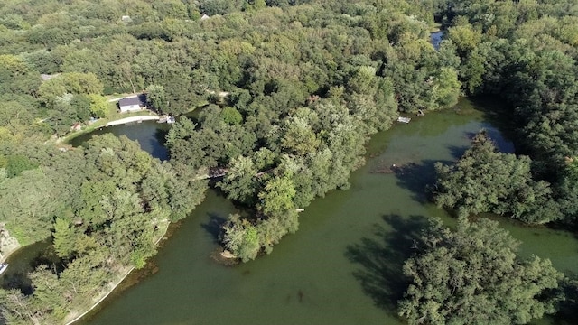 202 Eagle Blf, Oakwood, IL 61858 - aerial view of property's location with a forest and a nearby body of water
