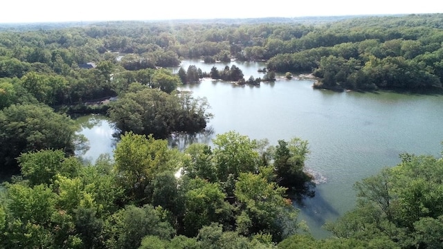 202 Eagle Blf, Oakwood, IL 61858 - aerial view of a forest and a nearby body of water