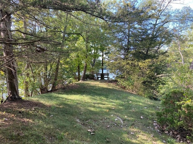 202 Eagle Blf, Oakwood, IL 61858 - view of green lawn featuring a wooded view
