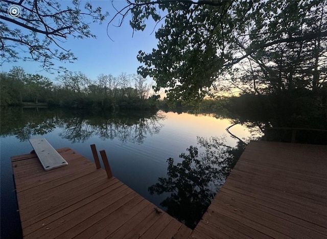 202 Eagle Blf, Oakwood, IL 61858 - dock with a water view