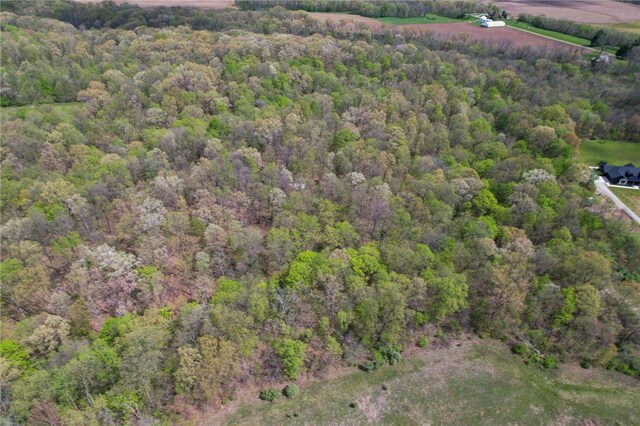 15295 E County Road 150 N, Charleston, IL 61920 - photo 45