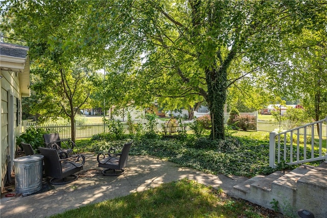 view of yard featuring a patio area