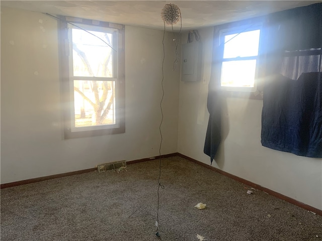 empty room featuring carpet floors and electric panel