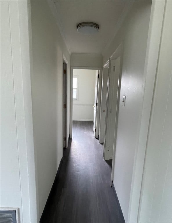 corridor with crown molding and dark wood-type flooring