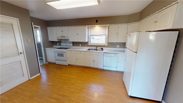 kitchen with light hardwood / wood-style floors, white cabinetry, white appliances, and sink