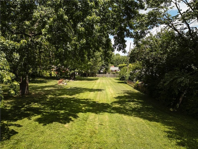 215 E Winter Ave, Danville, IL 61832 - view of yard