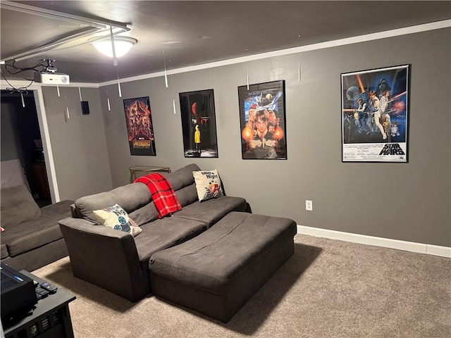 215 E Winter Ave, Danville, IL 61832 - cinema with carpet and baseboards