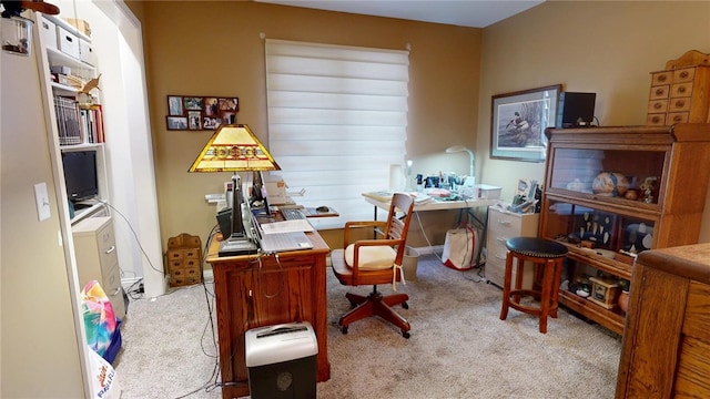 office area featuring carpet flooring