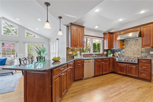 kitchen with vaulted ceiling, stainless steel appliances, light wood-type flooring, and wall chimney exhaust hood