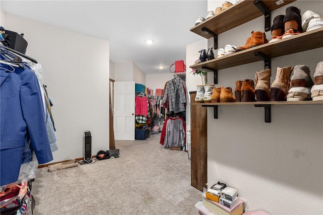 11154 E Ravenwood Ct, Effingham, IL 62401 - walk in closet with carpet flooring