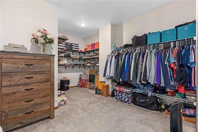 11154 E Ravenwood Ct, Effingham, IL 62401 - spacious closet with carpet floors