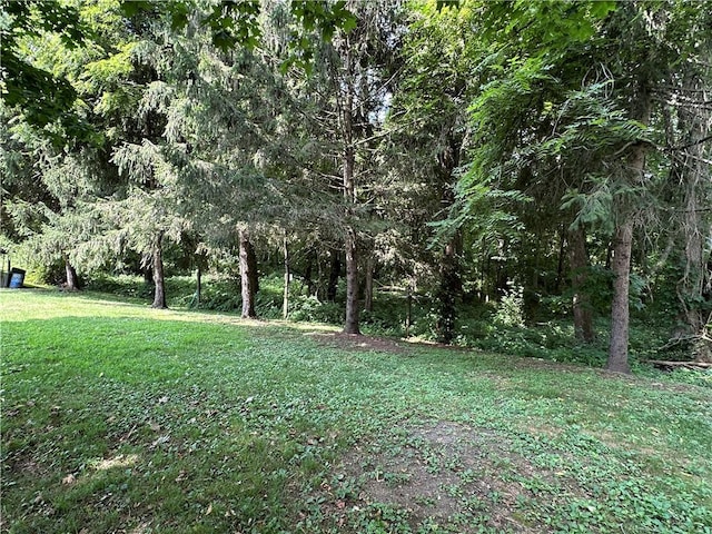 714 Parras St, Danville, IL 61832 - view of grassy yard with a view of trees